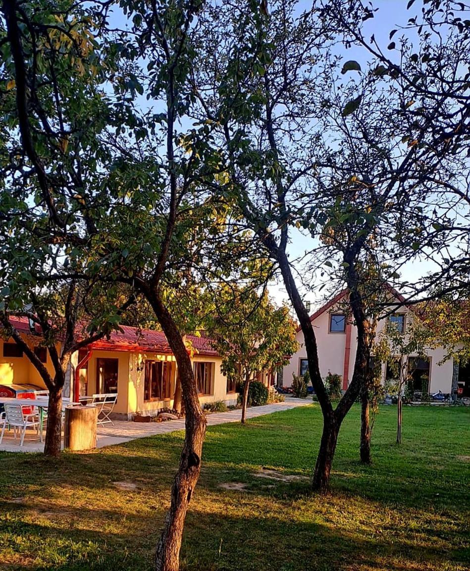 Pensiunea Casa Noastra Baia de Fier Exterior photo