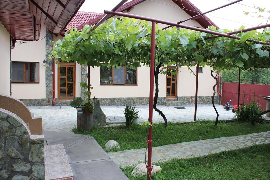 Pensiunea Casa Noastra Baia de Fier Exterior photo